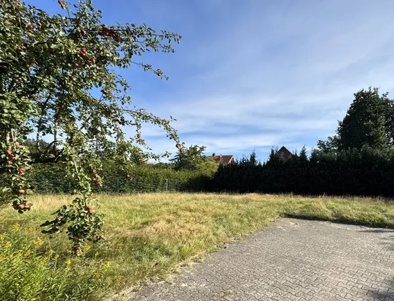 Blick Richtung Norden
