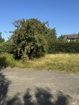 Blick Richtung Westen