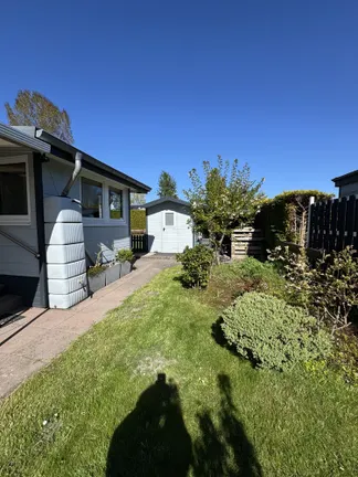 pflegeleichter Garten