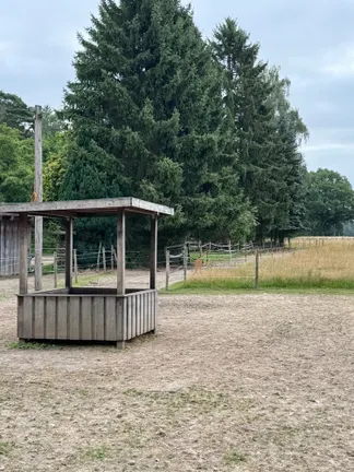 Pferde am Haus