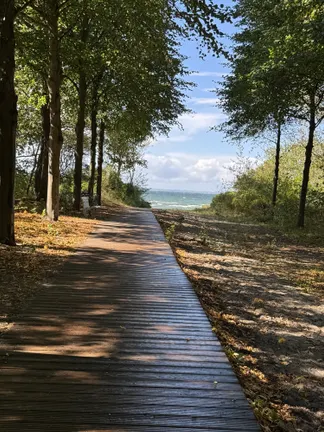 Der Weg zum Meer