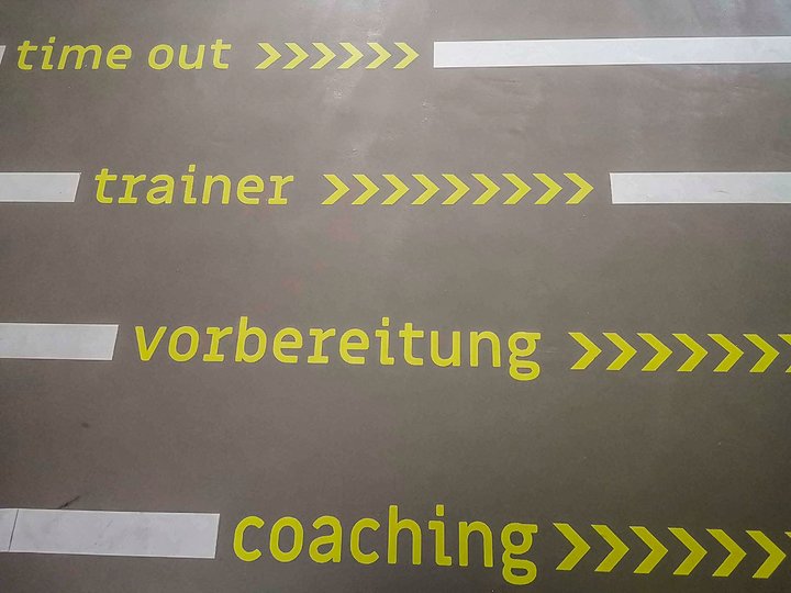 Trainer/ Coaching