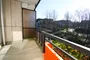 Sonne pur