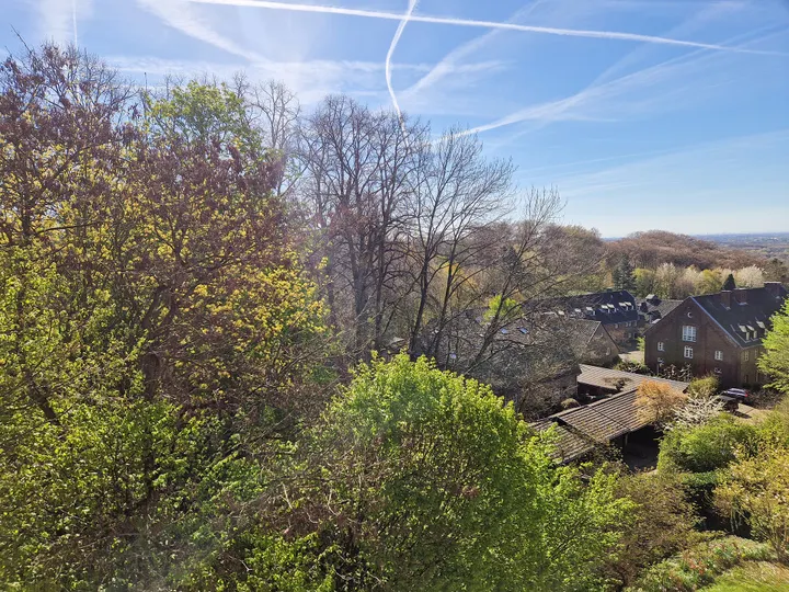 Baumkronenpanoramablick