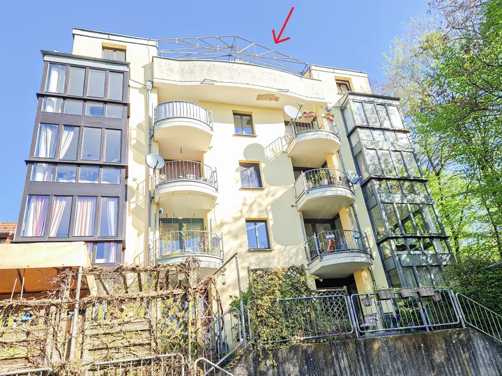 Baumkronenpanoramablick