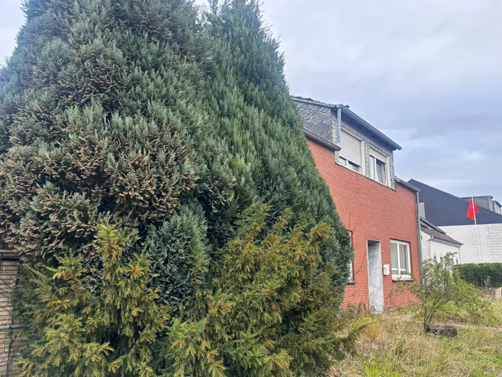 Grundstück mit Altbestand