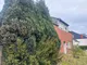 Grundstück mit Altbestand