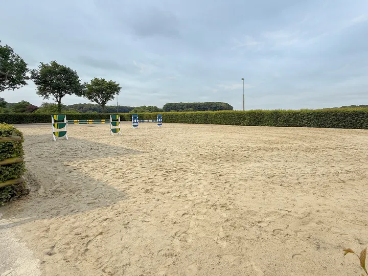 Reiten