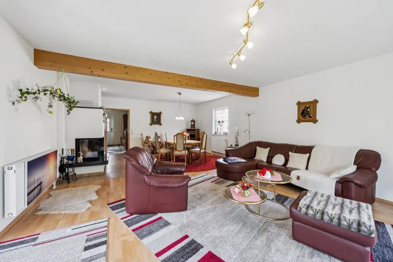 Wohnzimmer Ansicht 1