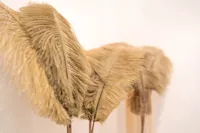 Pampas