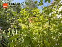 Blick durch das Kräuterbeet