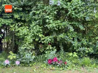 Impression Garten