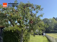 Im Garten