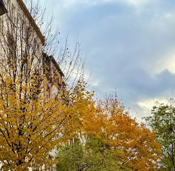 Wohn- Geschäftshaus Frankfurt Bockenheim