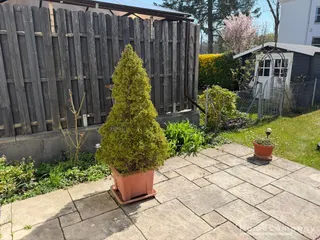 Geschmackvoll möblierte 2-Zimmer-Terrassenwohnung mit Gartenanteil