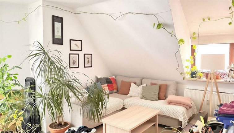 Wohn-Schlafraum_Bild2_1392 - gen