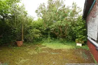 Blick zum geschützten Garten