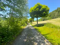 Auffahrt