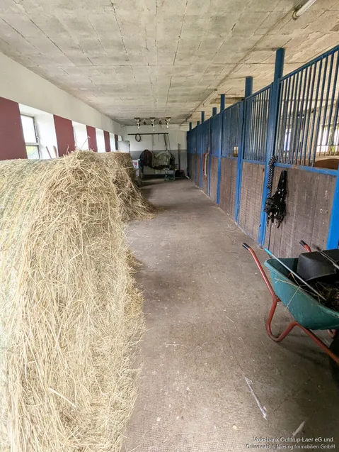 Stallungen