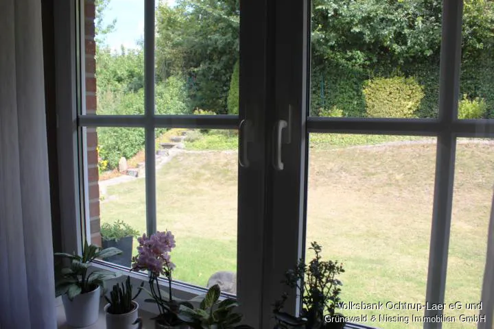 Blick in den Garten 