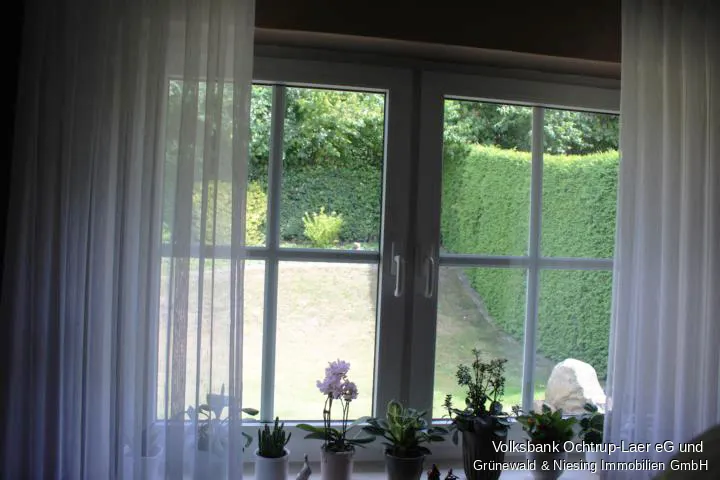 Blick in den Garten