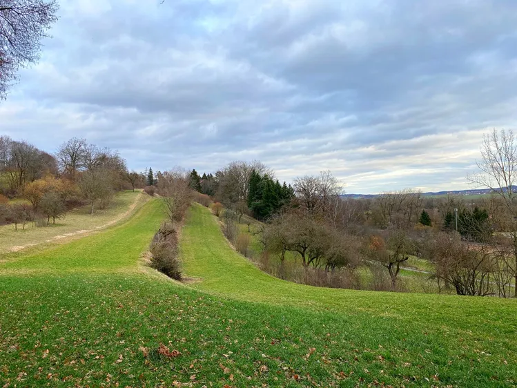 Wiesengrundstück in Rottenacker zu verkaufen Rothenbacher Immobilien