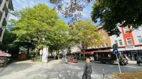 Umgebung
