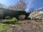 Gartenmitbenutzung möglich