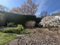 Gartenmitbenutzung möglich