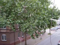 Sicht aus dem Fenster