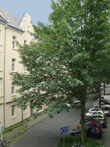 Sicht aus dem Fenster