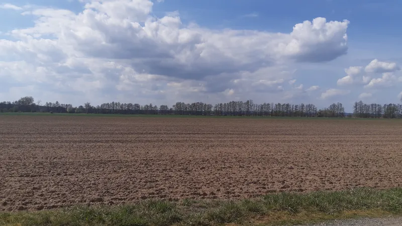 63,9 ha Acker- und Waldfl&auml;chen in Trebitz und Br&uuml;ck