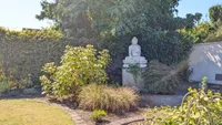Garten Bild 5