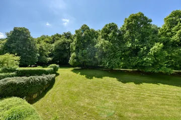 Waldblick nach S-W