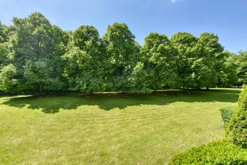 Waldblick nach Westen
