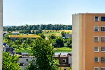 Blick ins Grüne