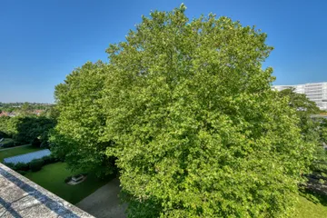 Blick nach Westen