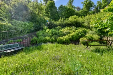 Garten E1 nach Süden.jpg