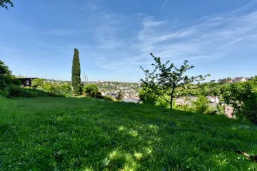 Garten E3 nach N-W.jpg