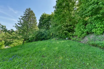 Garten E3 nach Osten.jpg