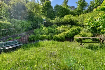 Garten E1 nach Süden