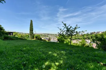 Garten E3 nach N-W
