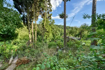 DSC_5556_HDR 2
