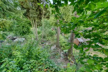 DSC_5481_HDR 2