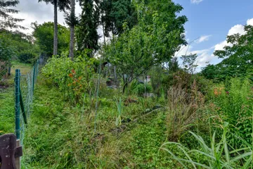 DSC_5496_HDR 2