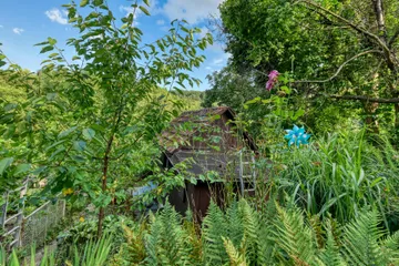 DSC_5538_HDR 2