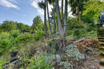 DSC_5541_HDR 2