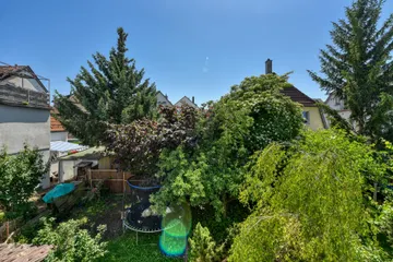 Blick in den Garten