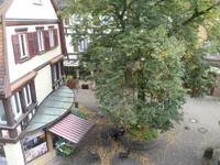 Blick vom Balkon