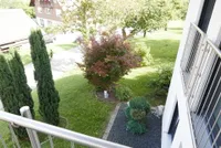 Blick in den Garten